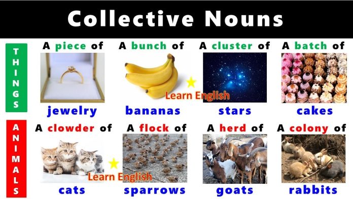 Pengertian, fungsi dan jenis collective noun