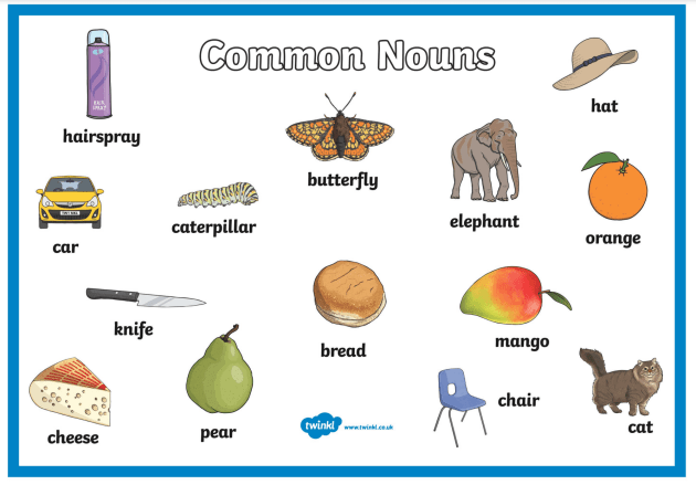 Pengertian Common Noun , Jenis Common Noun dan Fungsi Common Noun