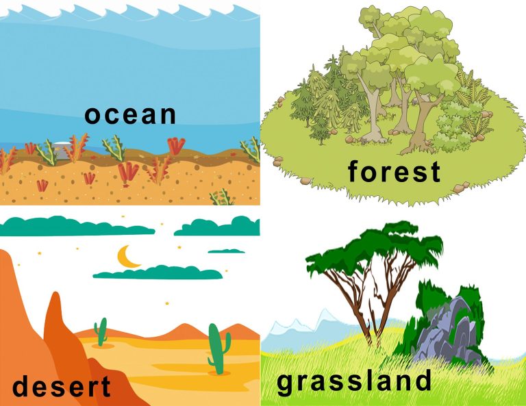 Apa Itu Habitat, Fungsi, Macam dan Hubungannya Dengan Hewan