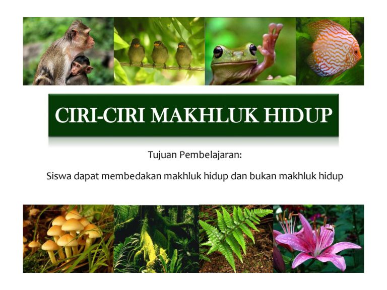 Materi Kelas 3 SD: Mengenal Ciri-Ciri Makhluk Hidup dan Contohnya