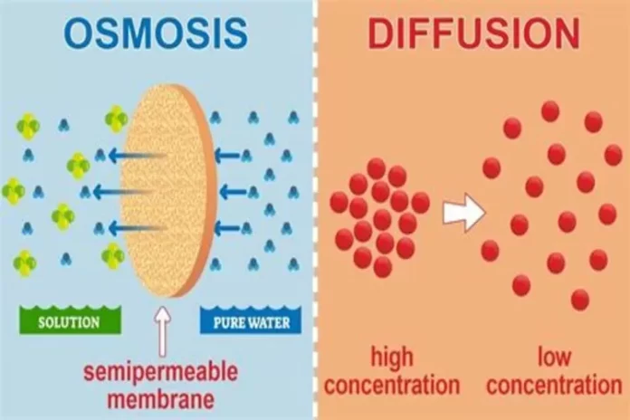 proses difusi dan osmosis