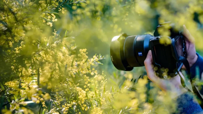 Teknik Seni Fotografi