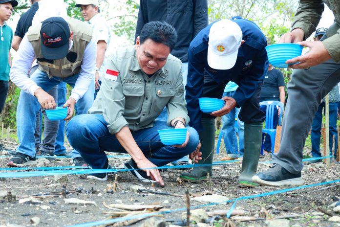 tanam jagung bersama