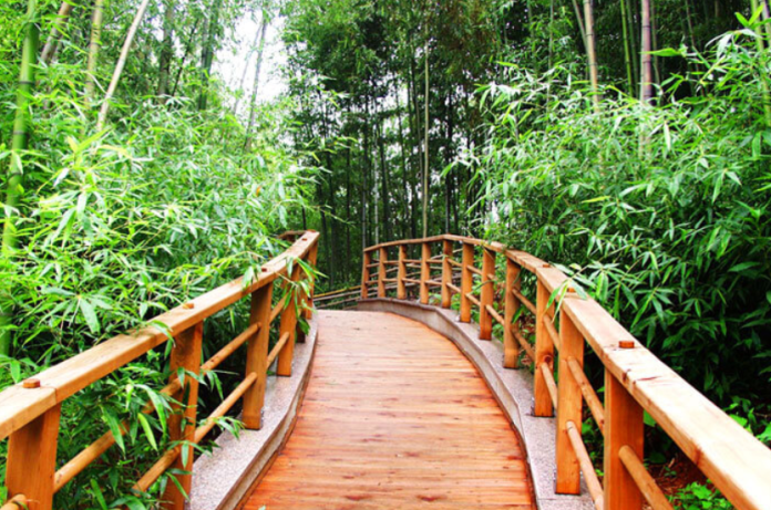 Hutan Bambu Damyang