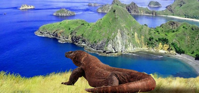 Sejarah Dan Keunikan Pulau Komodo