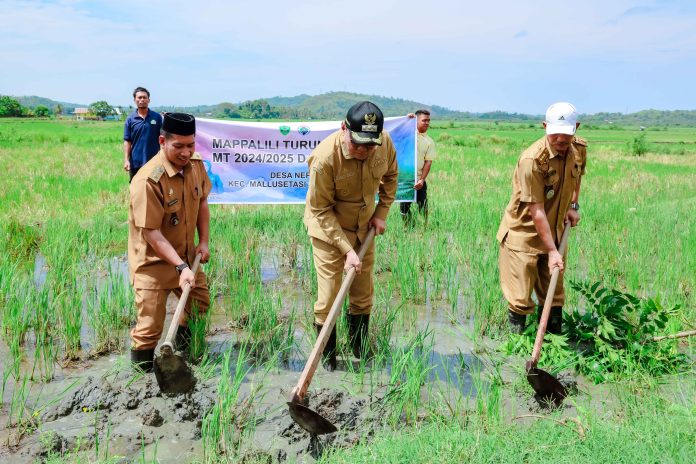 Upacara Adat Mappalili