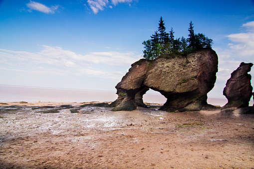 teluk fundy