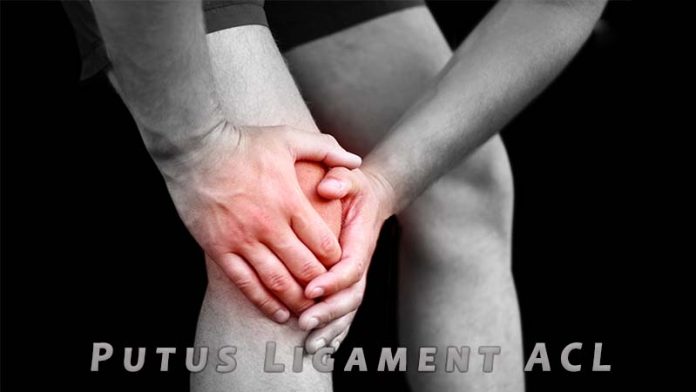 Mekanisme Kerja Ligamen