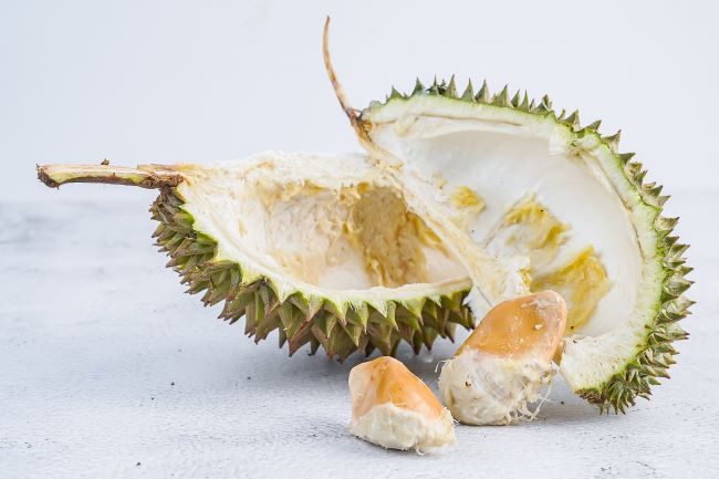 Biji Durian, Sumber Bahan Pangan Bernilai Tinggi