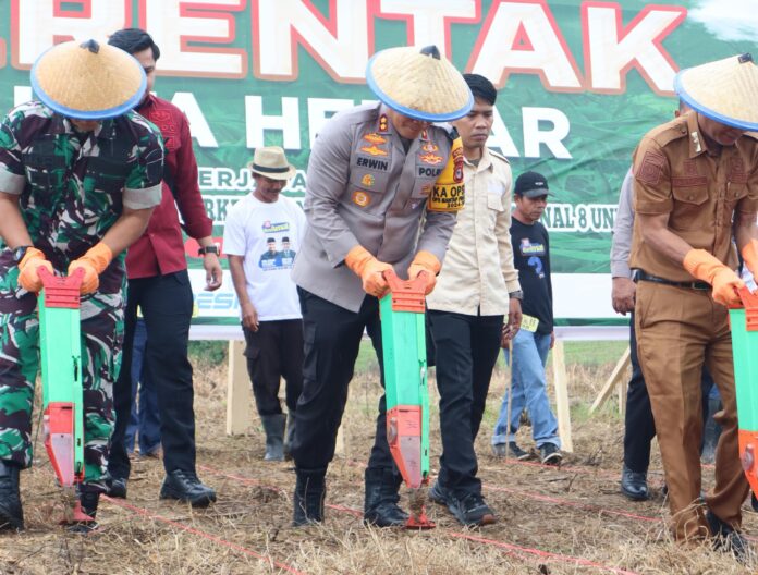 Kapolres Bone dan Forkopimda Tanam Jagung, Dukung Program Ketahanan Pangan